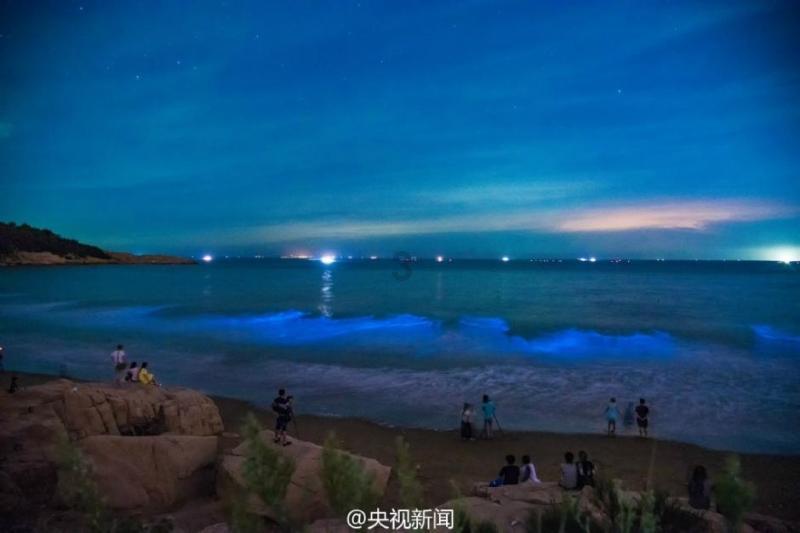 数学算术题目