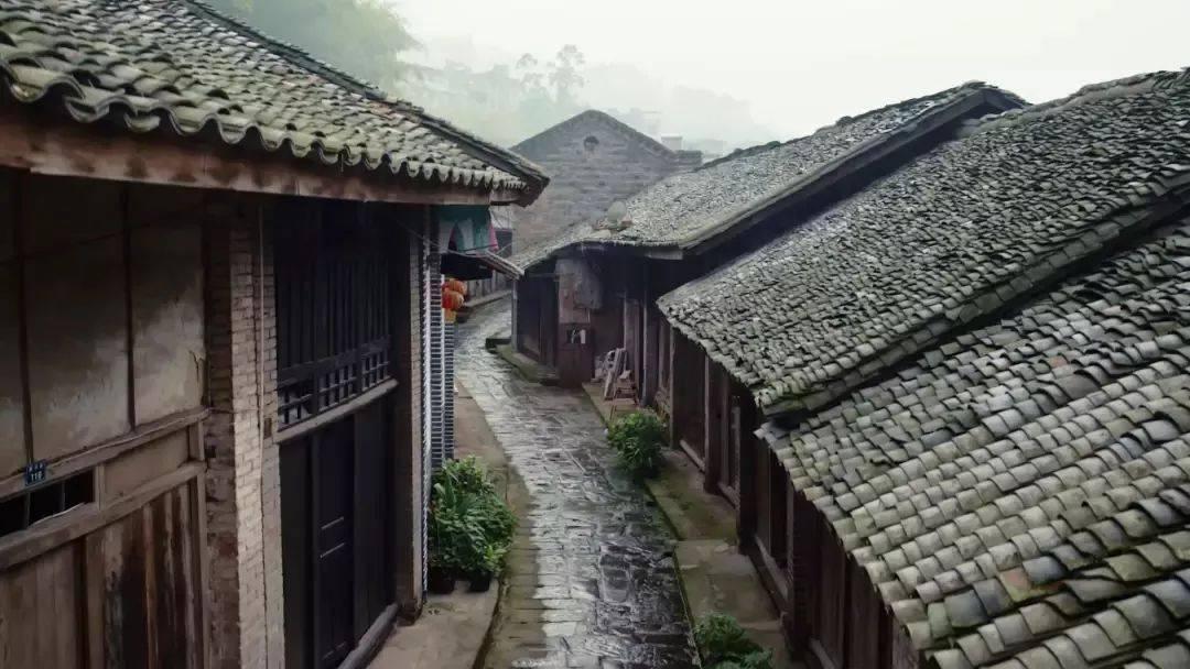 口袋森林世界杯防守战